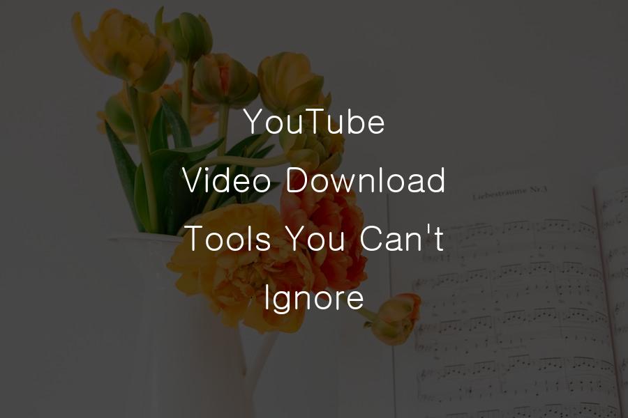 YouTube Video Download Tools You Can't Ignore